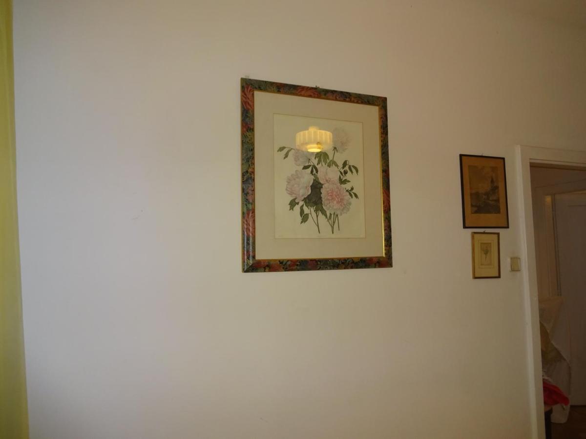 Helle Freundliche Wohnung Im Zentrum Viena Exterior foto